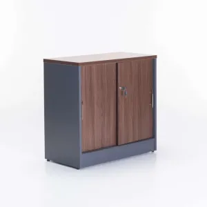 AXA 2 DOOR CABINET