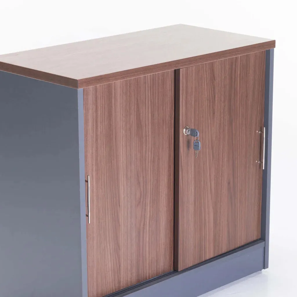 AXA 2 DOOR CABINET