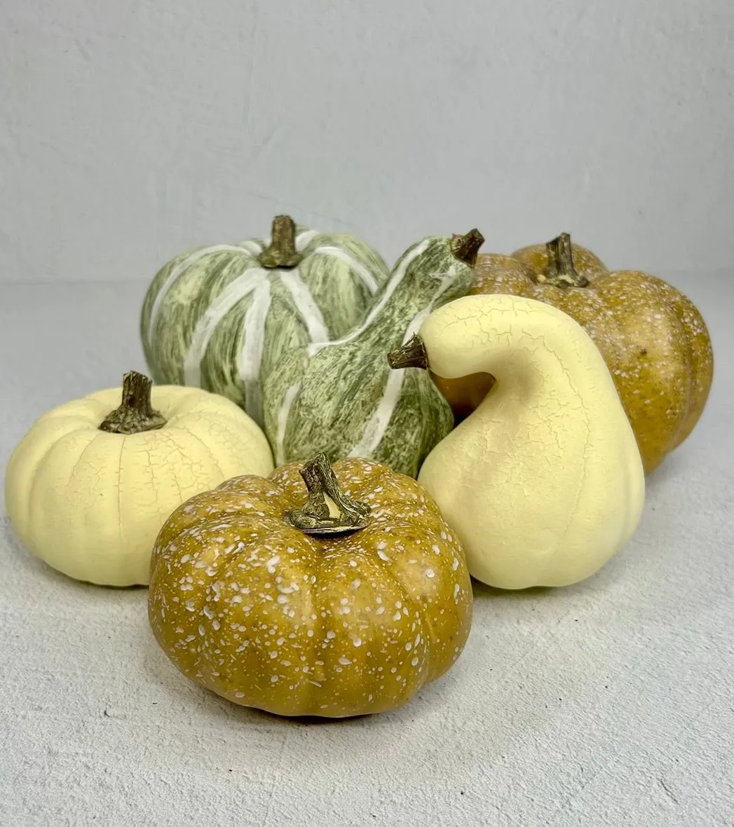 Bag of cream, beige, tan and sage green Pumpkins