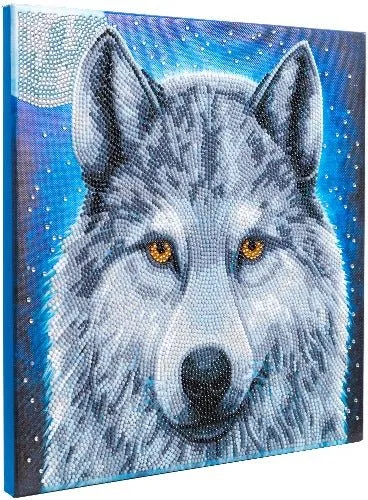 "Moonlight Wolf" by Rachel Froud Crystal Art Canvas 30x30cm