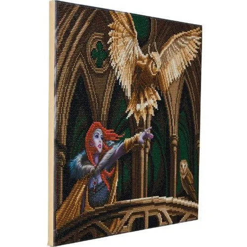 "Owl Messenger" by Anne Stokes Crystal Art Kit 40x50cm