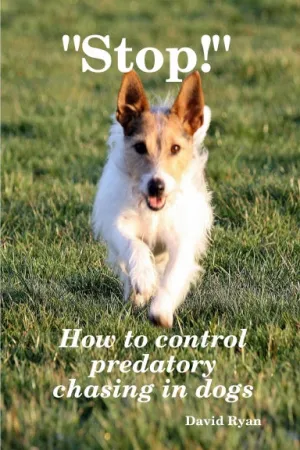 "Stop!" How to control predatory chasing in dogs